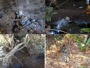 La Anla ordenó la suspensión inmediata de la conducción de hidrocarburos de la compañia Perenco en Aguazul, Casanare.