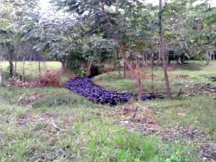 Ecopetrol reportó atentado contra oleoducto Caño Limón Coveñas en el municipio de Cubará.