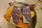El proyecto de la chocolatina tipo gourmet, el gran Cacao,  beneficia 186 familias campesinas productoras de cacao y más de 600 productores en el departamento de Arauca.
