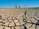 El 24 y 25 de Septiembre, se realizará el foro que hace parte del Plan Nacional de Adaptación al Cambio Climático