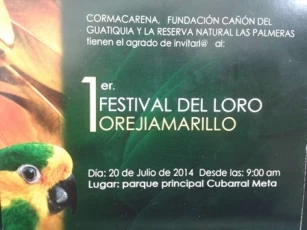 La Fundación Cañón del Guatiquía y la Reserva Natural las Palmeras realizarán el Primer Festival del Loro Orejiamarillo en el municipio de Cubarral, Meta.