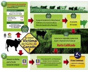 Con la creación del Comité Departamental intersectorial para la cadena de la carne y productos cárnicos comestibles, Casanare busca erradicar el hurto de ganado y “carneo”.