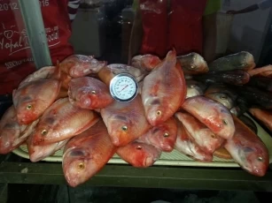 Cincuenta kilos de pescado incautaron las autoridades en Yopal, Casanare por no respetar la cadena de frío para este tipo de alimentos.