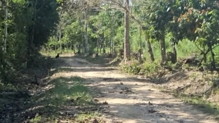 El campo encontrado por el Ejército en el área rural de Arauquita estaba compuesto por cilindros cargado de explosivos.