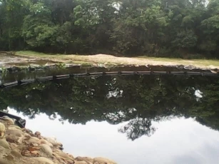 Crudo vertido en el río Royota, entre Saravena y Cubará.