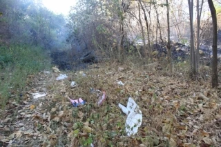El incendio también ha afectado la fauna del parque.