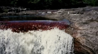 La capacidad de carga es el número máximo de visitantes que un área natural puede soportar para no deteriorar su oferta ambiental.