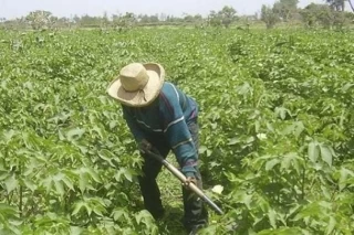 En el Meta inician proceso de titulación de predios que cuentan con resoluciones de adjudicación expedidas por el Incoder.
