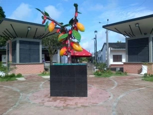 Este sábado 9 de agosto entregarán parque monumento al cacao,  a los productores del grano en el centro poblado El Troncal, Arauquita. Foto: Martín Sandoval.