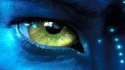 <p>Avatar</p>