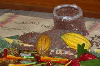 En Arauca los días 24, 25 y 26 de septiembre se realizará el II Foro Cacaotero de la Orinoquia Colombiana en el Centro de Convenciones Los Libertadores.