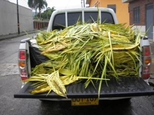 Invitan a habitantes del Meta en esta Semana Santa se reconcilien con la naturaleza, velando por la conservación de los ecosistemas naturales y las poblaciones de fauna silvestre.