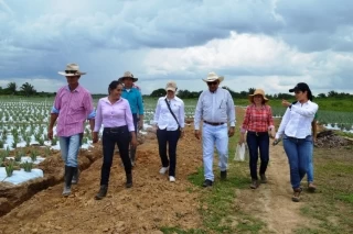 Del mandatario local a Proyecto Productivo.