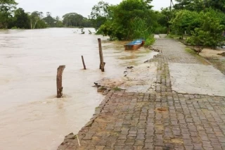 La isla de la Reinera esta siendo consumida por las aguas del río Arauca.