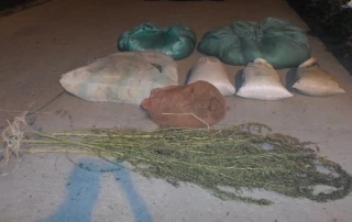 Incautada en el área rural del municipio de Arauquita.