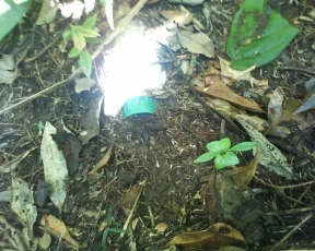 Artefactos explosivos encontrados en el municipio de Uribe, Meta.