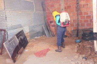 
El brote de pulgas se generó en una vivienda abandonada del barrio Villa Nariño, de Yopal.