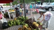 Este 14 de julio los habitantes de Yopal, Casanare, podrán obtener nuevamente alimentos frescos, de calidad y a precio justo, en el Tercer Mercado Satélite Campesino.
