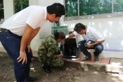 El oso palmero encontrado por el Ejército fue entregado a Corporinoquia para su liberación en una reserva natural.