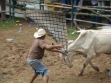 Actividades en la Plaza de ferias de Arauca