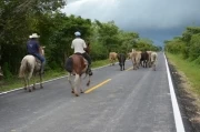 Vía Matapalito - Caracol: Los constructores pidieron a la comunidad abandonar la cultura de transitar ganado a pie por la vía, por el deterioro que genera.