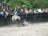 Resultados Torneo Internacional del Joropo: En el picadero del parque las Malokas, los visitantes a Villavicencio disfrutaron del trabajo de llano.