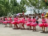 Grupos de danza de Colombia y Venezuela participaron en el quinto joropodromo.