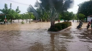 Inundación: Municipio de Arauquita, Arauca. Foto: Nora Lucia Montoya Builes.