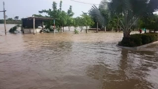 Inundación: Municipio de Arauquita, Arauca. Foto: Nora Lucia Montoya Builes.