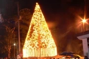 Navidad en Arauca 2010: Luces de navidad en la ciudad de Arauca. Arbolito Parque Caldas.