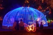 Navidad en Arauca 2010: Luces de navidad en la ciudad de Arauca. Parque Simón Bolivar. Fuente.