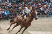 Llanero auténtico 2010: Jineteando un caballo
