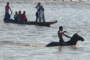 Llanero auténtico 2010: Cruzando el río Arauca.